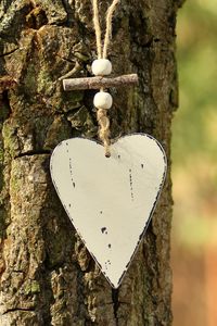 Превью обои сердце, кора, дерево, любовь
