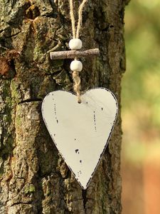 Превью обои сердце, кора, дерево, любовь
