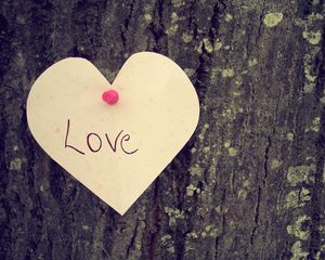 Превью обои сердце, любовь, дерево, чувства