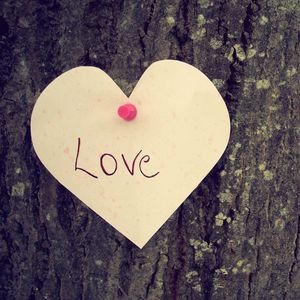 Превью обои сердце, любовь, дерево, чувства