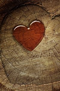 Превью обои сердце, любовь, пенёк, дерево