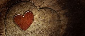 Превью обои сердце, любовь, пенёк, дерево