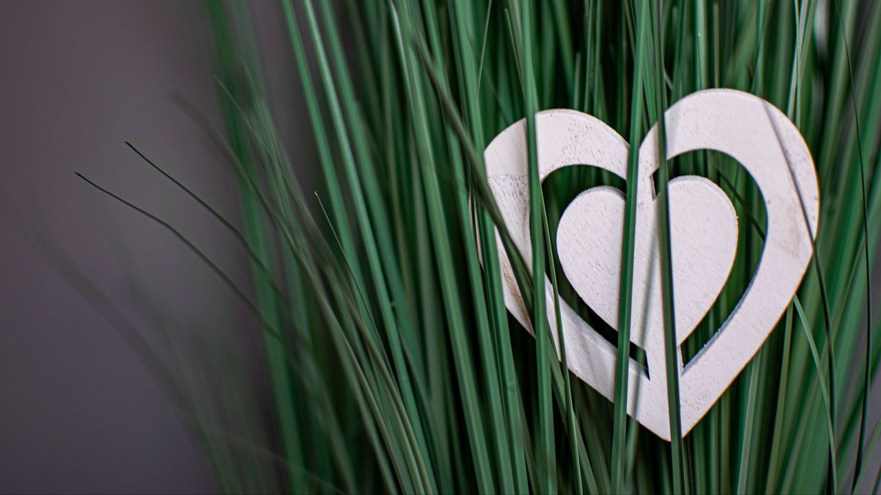 Обои сердце, трава, любовь