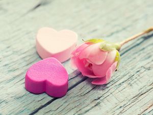 Превью обои сердце, цветок, нежность, розовый