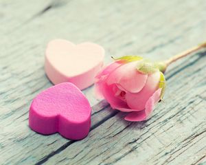 Превью обои сердце, цветок, нежность, розовый