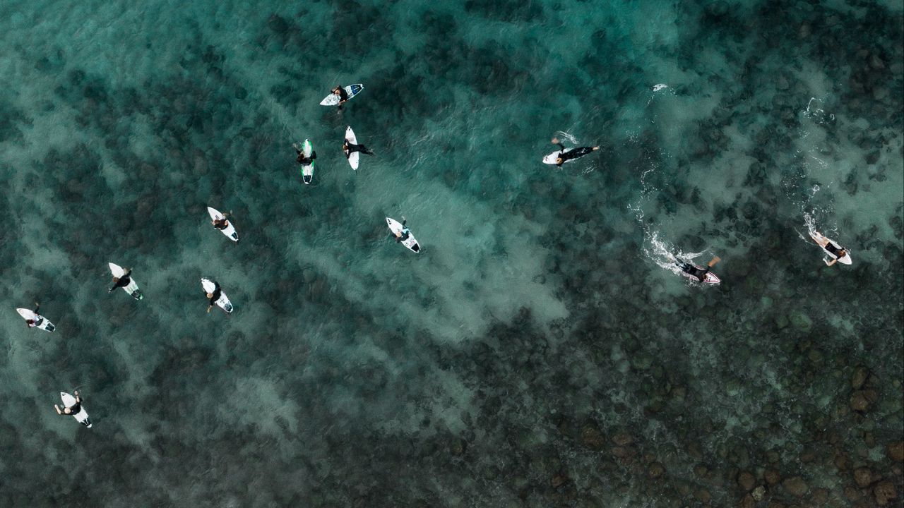 Обои серферы, вода, вид сверху, море, серфинг