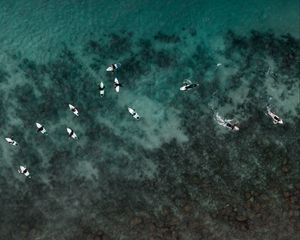 Превью обои серферы, вода, вид сверху, море, серфинг