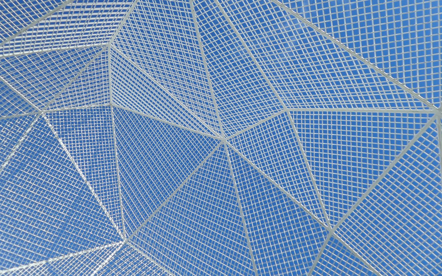 1440x900 Обои сетка, линии, синий, белый
