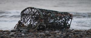 Превью обои сетка, море, берег
