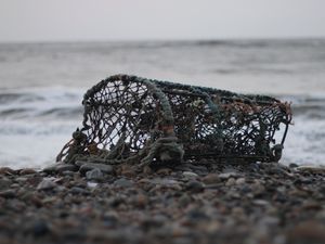Превью обои сетка, море, берег