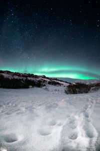 Превью обои северное сияние, аврора, ночь, звездное небо, север, снег, пейзаж