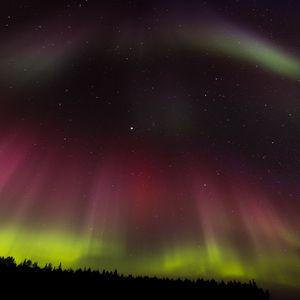 Превью обои северное сияние, аврора, звездное небо, деревья