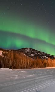 Превью обои северное сияние, лес, деревья, снег, зима, природа