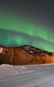 Превью обои северное сияние, лес, деревья, снег, зима, природа