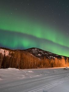 Превью обои северное сияние, лес, деревья, снег, зима, природа