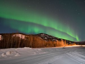 Превью обои северное сияние, лес, деревья, снег, зима, природа