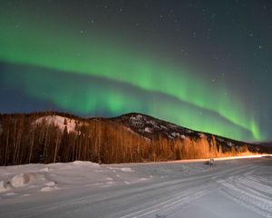 Превью обои северное сияние, лес, деревья, снег, зима, природа