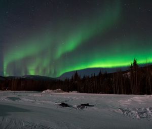 Превью обои северное сияние, лес, снег, зима, пейзаж