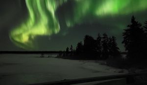 Превью обои северное сияние, ночь, зима, деревья, снег