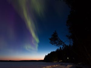 Превью обои северное сияние, зима, лес, ночь, деревья