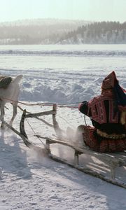 Превью обои северный полюс, эскимос, сани, олень, транспорт, снег