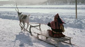 Превью обои северный полюс, эскимос, сани, олень, транспорт, снег