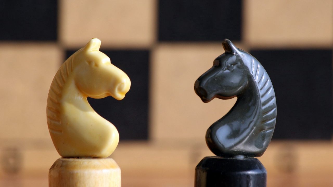 Обои шахматы, фигуры, конь, черный, белый