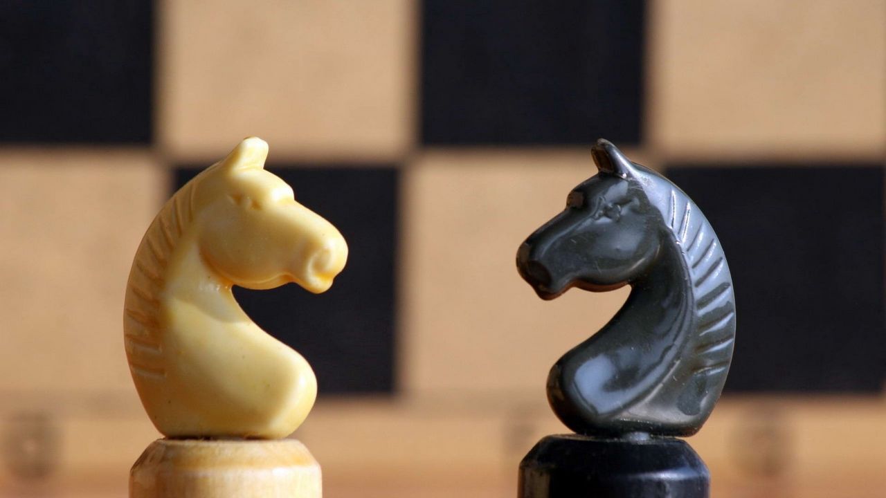 Обои шахматы, конь, игра