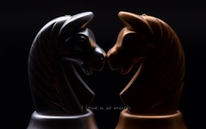 Превью обои шахматы, конь, надпись, любовь