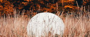 Превью обои шар, белый, трава, деревья, природа