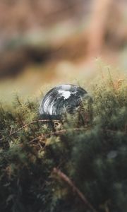 Превью обои шар, отражение, деревья, трава
