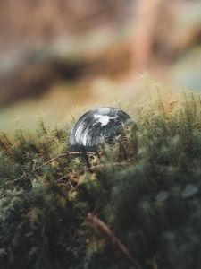 Превью обои шар, отражение, деревья, трава