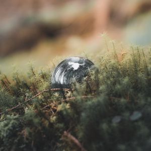 Превью обои шар, отражение, деревья, трава