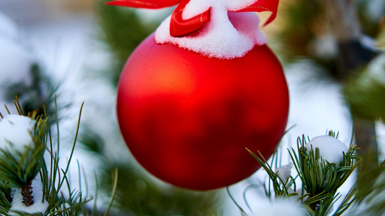 Обои шар, снег, украшение, елка, рождество, новый год