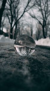 Превью обои шар, стеклянный, отражение, макро, размытость, снег, деревья