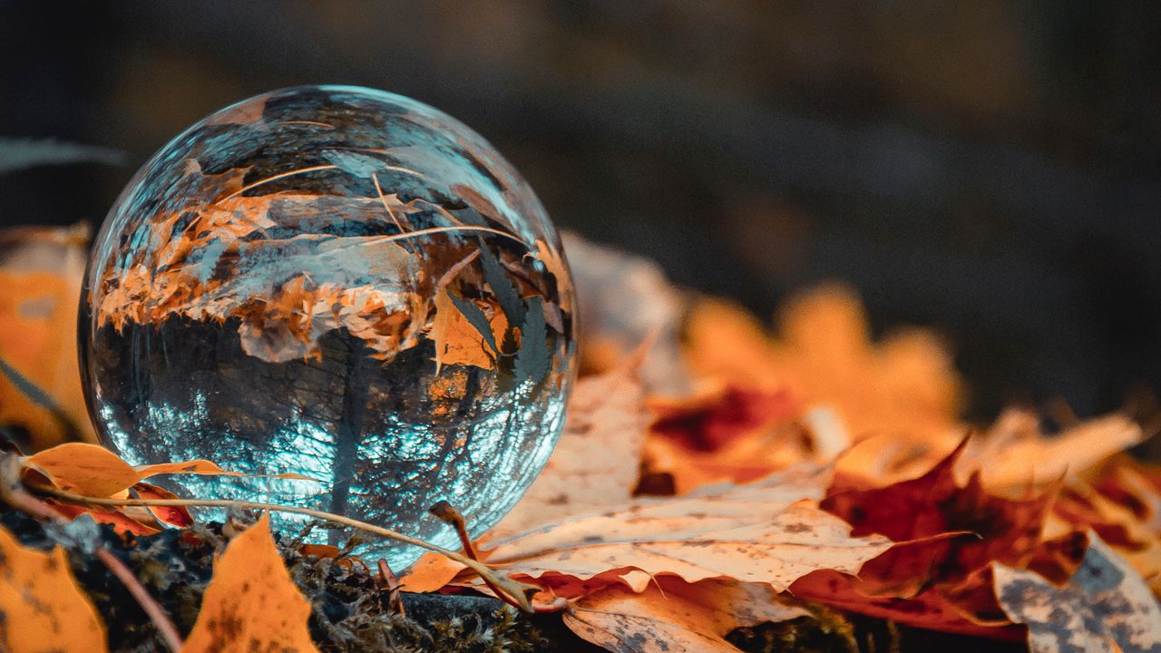 Обои шар, стекло, осень, листва, отражение