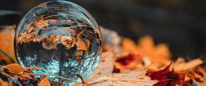 Превью обои шар, стекло, осень, листва, отражение