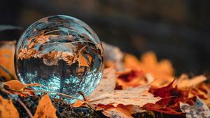 Превью обои шар, стекло, осень, листва, отражение