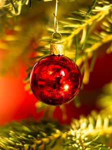 Превью обои шар, украшение, красный, елка, новый год, рождество