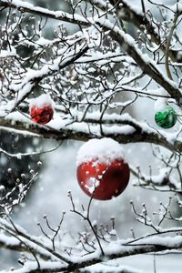Превью обои шары, ветки, новый год, снег