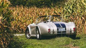 Превью обои shelby, cobra, вид сзади, авто