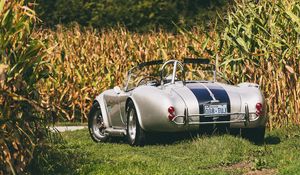 Превью обои shelby, cobra, вид сзади, авто