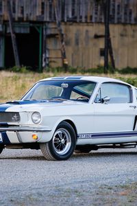 Превью обои shelby, ford, mustang, gt350, вид сбоку