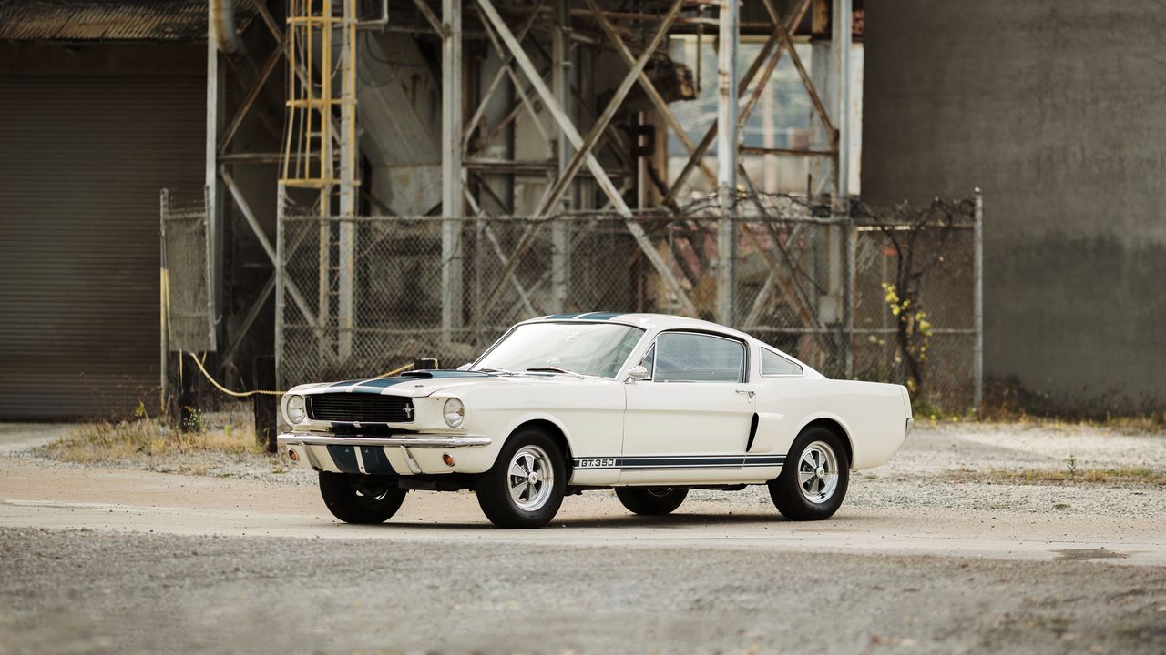 Обои shelby, gt350, ford mustang, 1966