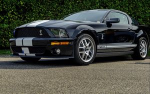 Превью обои shelby, gt500, вид сбоку