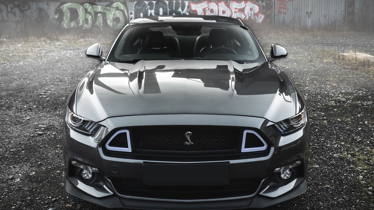 Обои shelby mustang, shelby, автомобиль, серый, вид спереди