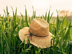 Превью обои шляпа, трава, колосья, лето
