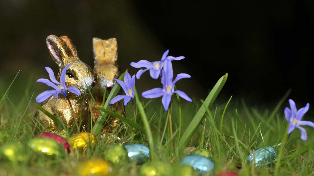 Обои шоколадные зайцы, пасха, яйца, цветы, трава