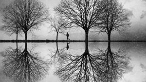 Превью обои силуэт, деревья, чб, отражение, вода