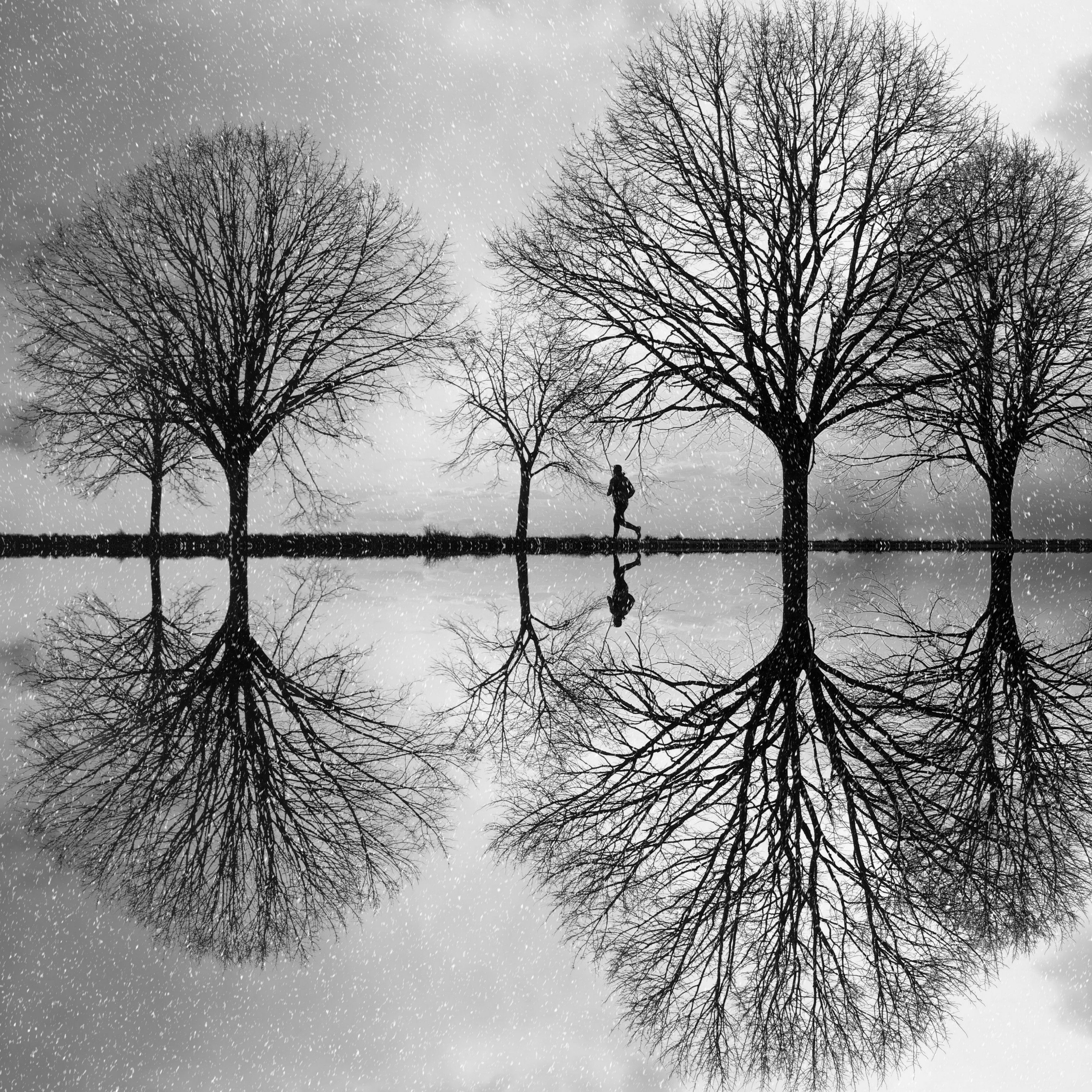 Отраженное повторение. Графический пейзаж. Симметричный пейзаж. Отражение деревьев в воде. Черно белые картины.